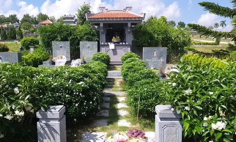 4 loại cây không nên trồng quanh mộ phần tổ tiên, trồng sai ảnh hưởng nghiêm trọng đến âm trạch