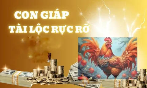 Tình Đến Tiền Về sau 15 Âm: 3 con giáp No Nê mà hưởng