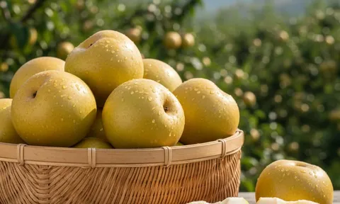 Loại quả thuộc top tốt cho sức khỏe, trồng nhiều ở Việt Nam: Giá chỉ từ 20.000đ/kg mà ngon khó cưỡng