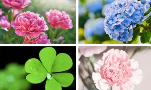 Quiz: Tháng này vũ trụ đang ưu ái bạn điều gì? Làm bài test để biết ngay!