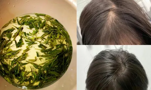 Cách gội đầu bằng nước trà xanh giúp tóc đen bóng, đua nhau mọc