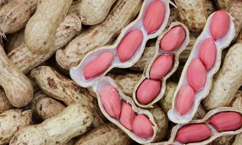 Điều gì xảy ra với cơ thể nếu thường xuyên ăn lạc (đậu phộng)?