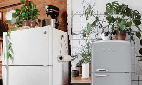 Trong nhà có 5 vị trí không nên đặt cây xanh