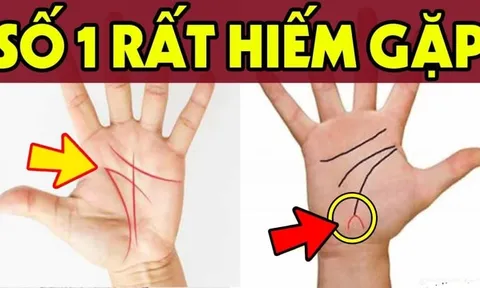 Nhìn tướng tay 3 giây biết bạn giàu sang hay thất bại