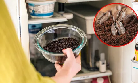 7 cách khử mùi hôi tủ lạnh bằng nguyên liệu tự nhiên, an toàn