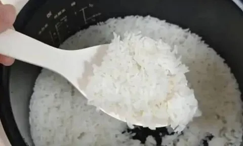 Cảnh báo: 3 loại thực phẩm trở nên độc hại khi để trong tủ lạnh, đặc biệt loại đầu tiên bạn phải biết ngay!