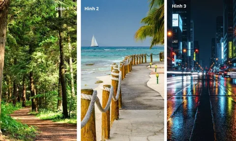 Quiz: Chọn 1 trong 3con đường bạn muốn bước vào sẽ tiết lộ năm 2026 của bạn mở ra điều gì