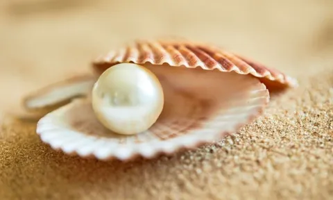 4 công dụng làm đẹp tuyệt vời từ bột ngọc trai