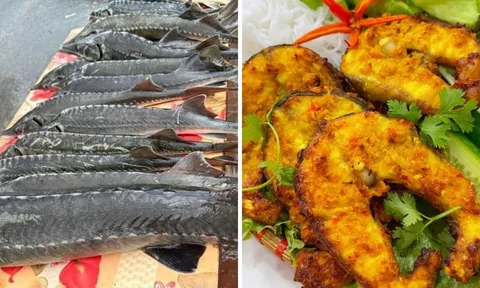 Loại cá “không xương” giàu canxi, tốt cho tim mạch: Việt Nam có rất nhiều mà nhiều người không biết ăn