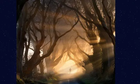  Quiz: Phản ứng đầu tiên của bạn khi nhìn bức ảnh này sẽ tiết lộ khả năng giàu có trong 10 năm tới