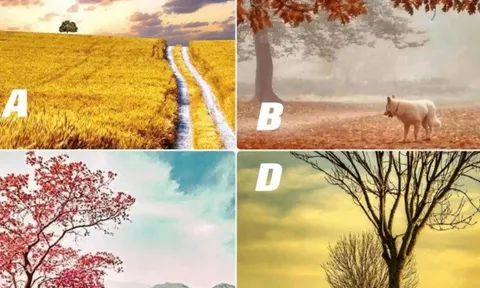 Trắc nghiệm tâm lý: Chọn bức tranh theo trực giác để khám phá số mệnh và tính cách tiềm ẩn của bạn