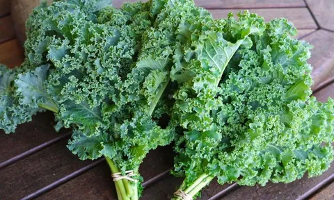 Những loại rau này giàu canxi mà nhiều người không ngờ tới