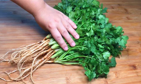 Cách bảo quản rau mùi tươi lâu, cả tháng vẫn xanh mướt, thơm ngon