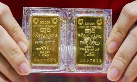 Giá vàng hôm nay 12/12: Vàng miếng giảm, vàng nhẫn bật tăng mạnh - Cập nhật thị trường mới nhất
