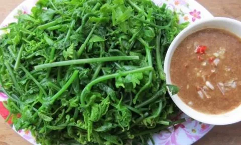 Rau dại Việt Nam được Trung Quốc tôn là “rau trường sinh”, kho báu xanh giúp bồi bổ sức khỏe