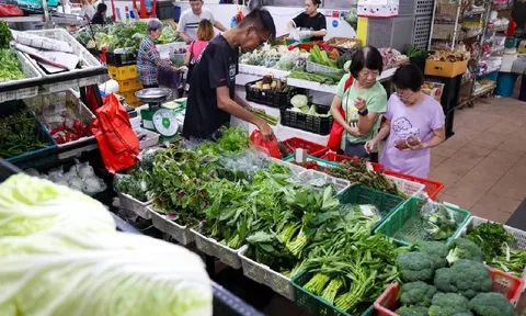 6 khu giờ vàng đi chợ dễ mua đồ tươi ngon lại có giá rẻ