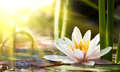 Những khó khăn bạn đang gặp phải đều là ông Trời đang độ bạn, hãy lạc quan bởi phước lành đang ở phía trước