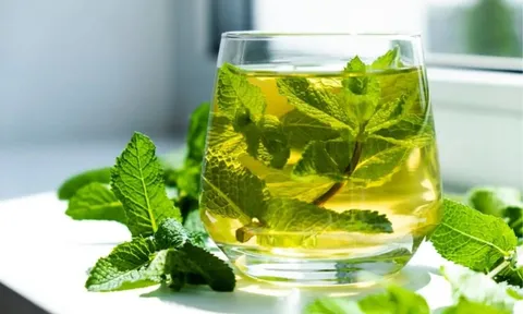 Uống trà Bạc Hà sẽ mang lại 7 lợi ích thiết thực cho cơ thể