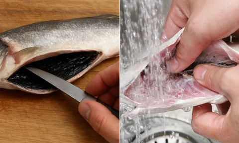Vì sao phải cạo sạch lớp màng đen trong bụng cá trước khi nấu?