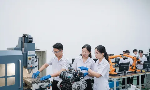 Ngành học khát nhân lực 10 năm tới, ra trường dễ kiếm việc, thu nhập tăng nhanh theo thời gian