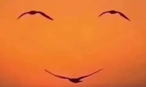 Trắc nghiệm tâm lý: Bạn ưu tiên tiền bạc hay đặt cảm xúc lên hàng đầu?