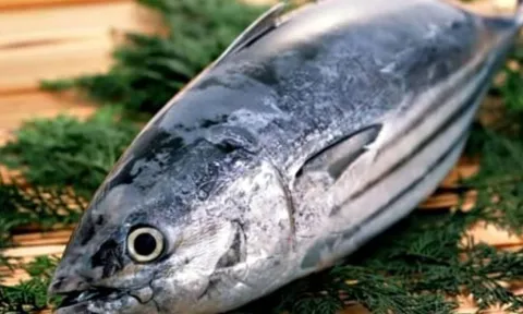 3 loại cá được cảnh báo dễ là “ổ ung thư”: Ngon đến mấy cũng nên tránh, đặc biệt loại thứ 2