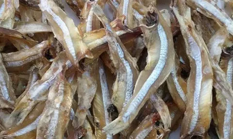 3 loại hải sản phổ biến và rất rẻ này, chuyên gia khuyến khích tăng cường ăn, vì chúng rất giàu canxi