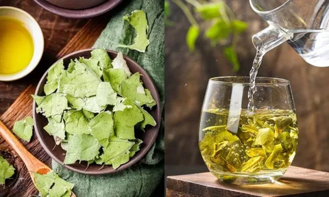 Cách uống nước lá sen khô giảm cân, hạ mỡ máu an toàn, hiệu quả