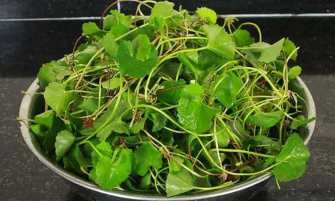 3 loại rau là "thuốc bổ gan tự nhiên", chợ bán chỉ 10 nghìn/bó