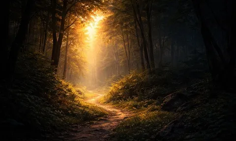 Quiz: Bạn thấy ánh sáng hay bóng tối đầu tiên sẽ tiết lộ Tài Vận đang đà lên hay xuống