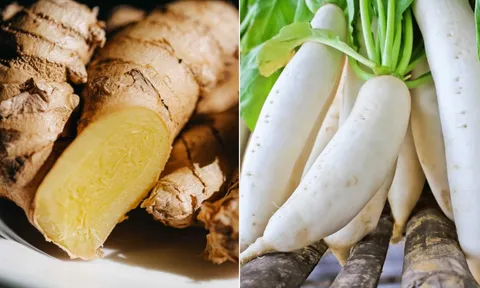 Vì sao buổi sáng nên ăn gừng, buổi tối nên ăn củ cải?