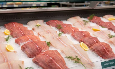 Top 5 loại cá chứa nhiều thủy ngân bậc nhất: Nhìn tươi ngon nhưng không nên ăn thường xuyên