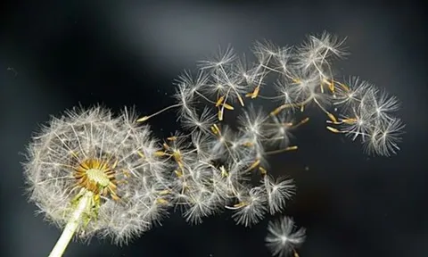 Càng sớm từ bỏ 3 điều này, bạn càng nhanh chạm tay vào hạnh phúc, càng già lại càng vui