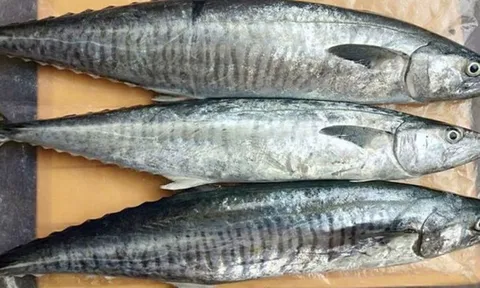 Top 5 loại cá có nguy cơ chứa nhiều thủy ngân nhất: Đi chợ rẻ mấy cũng không nên mua nhiều