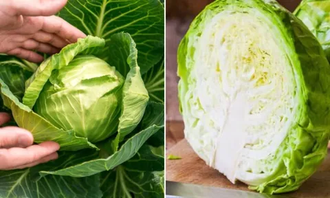 Bắp cải giàu dinh dưỡng nhưng có 4 nhóm người không nên ăn