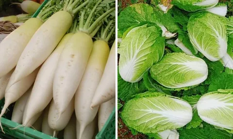5 loại rau củ mùa đông an toàn bậc nhất, đi chợ gặp được nên mua ngay