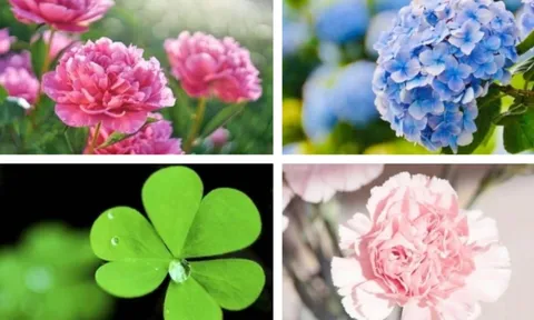 Quiz vận mệnh: Tháng này vũ trụ đang ưu ái bạn điều gì nhất?