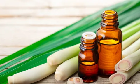 2 mẹo đơn giản dùng tinh dầu sả kích thích mọc tóc