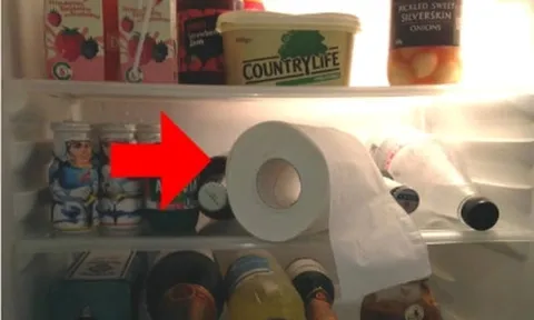 Bỏ 1 cuộn giấy vào tủ lạnh, tôi hối hận đãkhoong biết sớm để làm điều