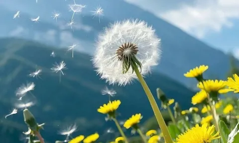 Chủ nhật 28/12: 3 con giáp nên nghỉ ngơi, càng cố làm việc càng dễ rối ren