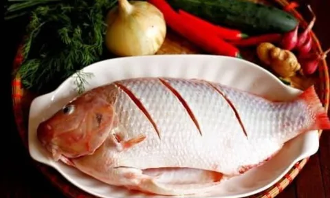 Chuyên gia khuyên: 3 loại cá nước ngọt nên ăn thường xuyên giúp hạ và đào thải axit uric hiệu quả