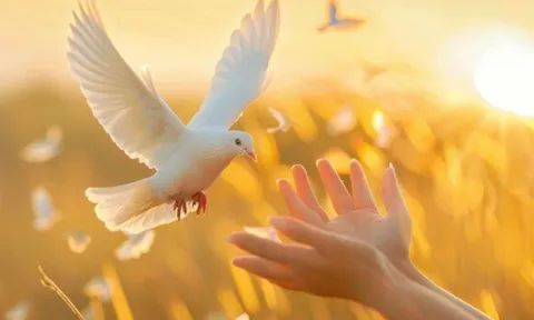 Tưởng là tốt nhưng càng làm càng giảm phước: 5 kiểu sống đang âm thầm bào mòn vận may