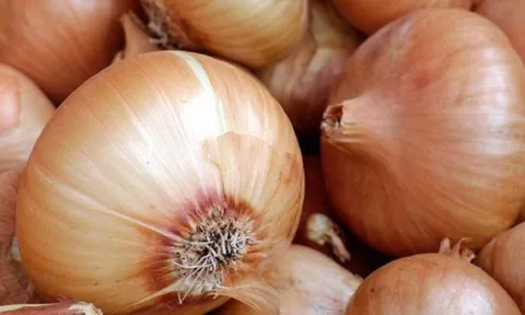 Những người không nên ăn hành tây