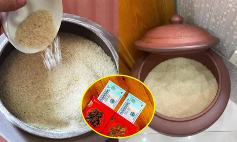 Cuối năm đặt thứ này vào thùng gạo để hút lộc, sang 2026 phất lên như diều gặp gió