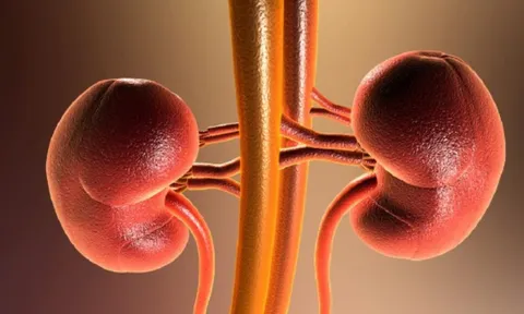 Suy thận không báo trước: 5 dấu hiệu sớm dễ nhầm với mệt mỏi thông thường