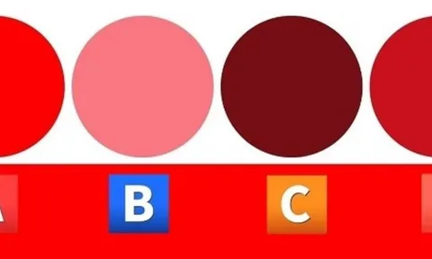 Trắc nghiệm tâm lý: Ai sẽ trở thành chỗ dựa tinh thần của bạn trong thời gian tới?