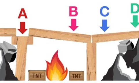Trắc nghiệm vui: Thời gian tới tài chính của bạn khởi sắc hay gặp khó?