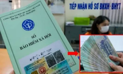 Đã hưởng BHXH một lần, đi làm lại có phải tiếp tục đóng BHXH bắt buộc không? Giải đáp chi tiết