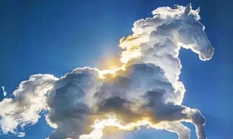 Trắc nghiệm tâm lý: Khám phá điểm tựa vững chắc nhất của bạn khi về già