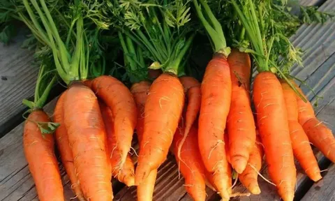 Top 2 loại củ quả ngậm đầy vi nhựa, nhiều người Việt vẫn vô tư ăn hàng ngày